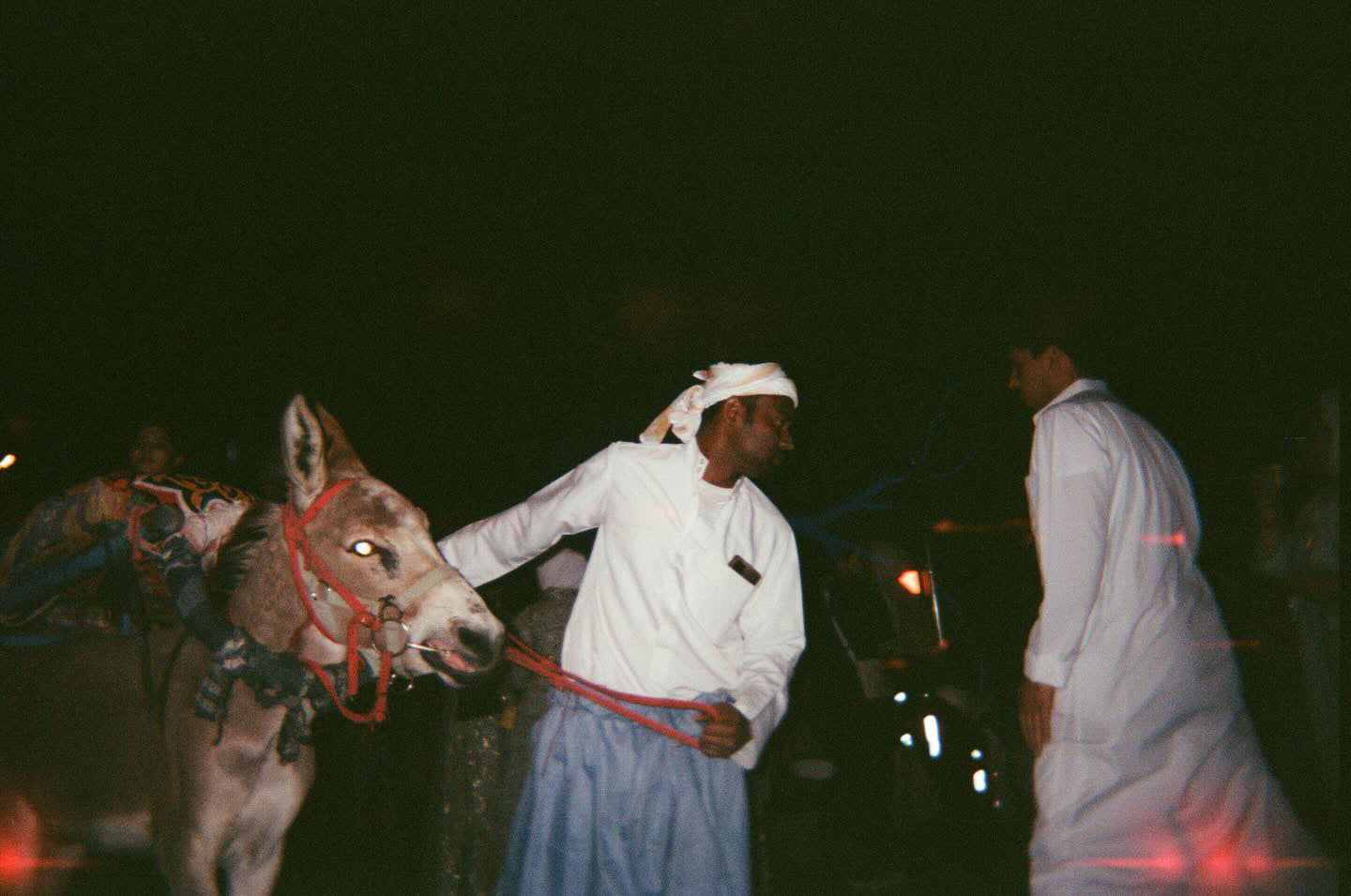 ๐ Halm's Disposable Camera
