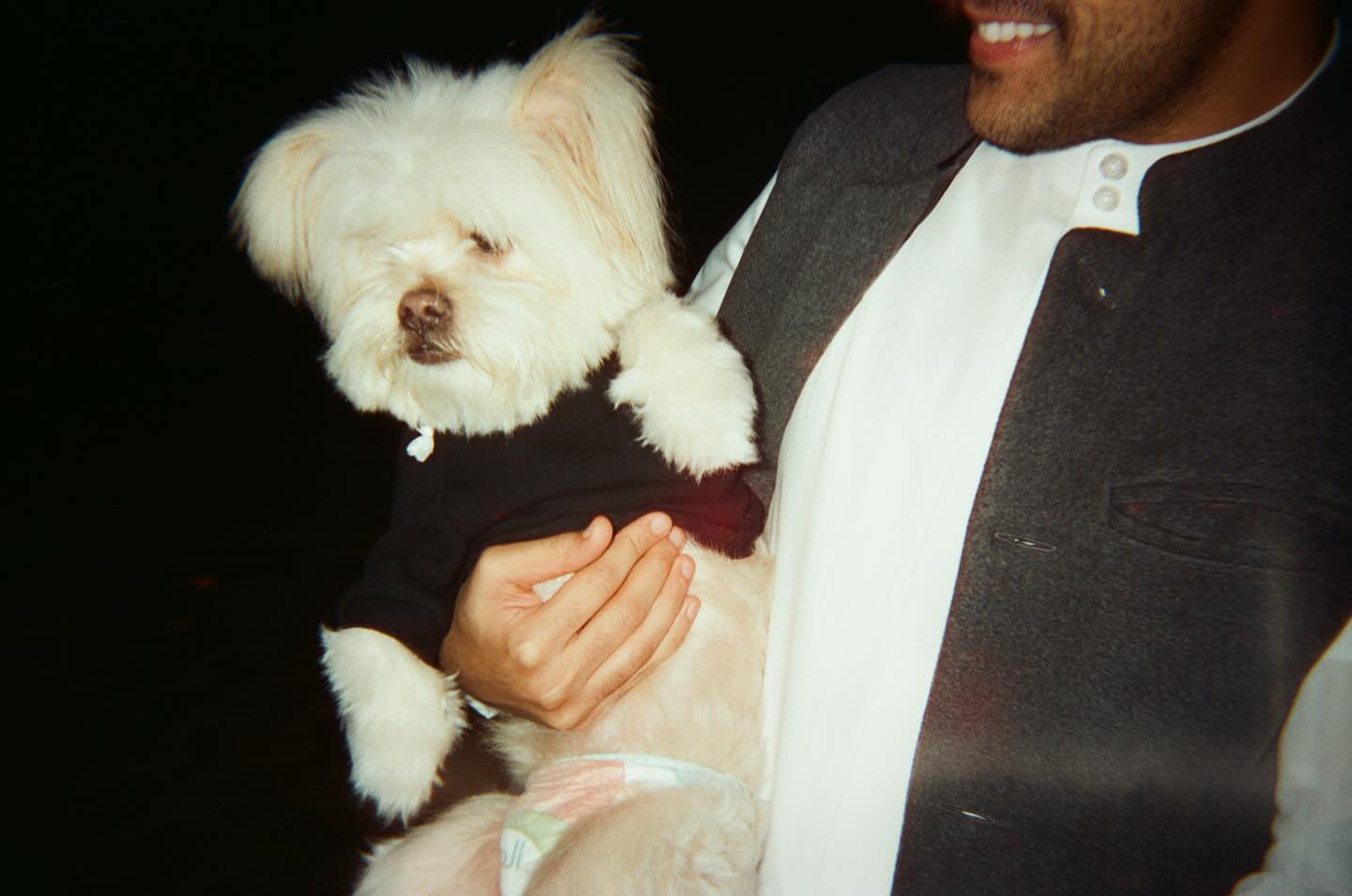 ๐ Halm's Disposable Camera