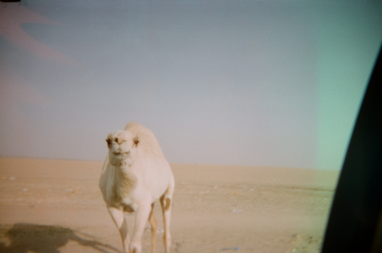 🌌 Halm's Disposable Camera