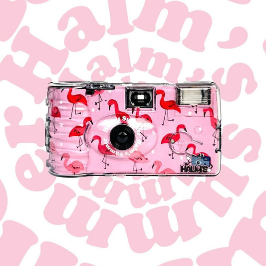 🦩 Halm's Disposable Camera '26